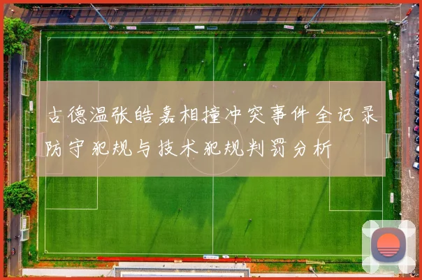 古德温张皓嘉相撞冲突事件全记录防守犯规与技术犯规判罚分析