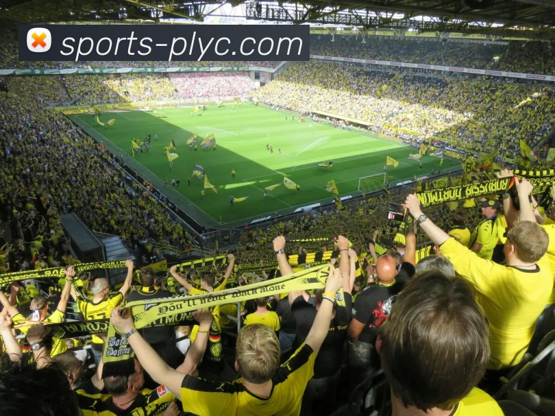 App Interface Preview